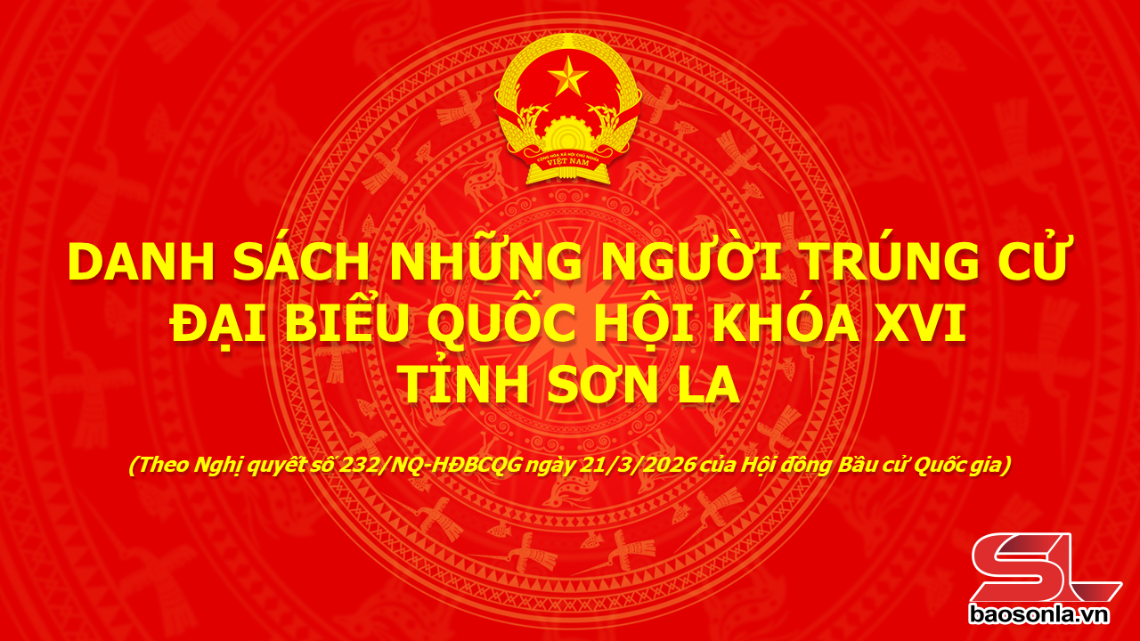 DANH SÁCH NGƯỜI TRÚNG CỬ ĐẠI BIỂU QUỐC HỘI KHÓA XVI, TỈNH SƠN LA