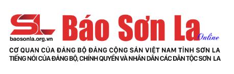 Ảnh cột phải 6